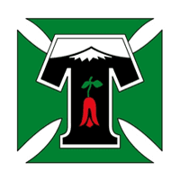 Deportes Temuco logo