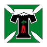 Deportes Temuco logo