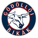 Godolloi SK (W) logo - Women VS Godolloi Sk W Score Today