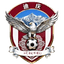 Diqing Team logo