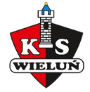 WKS 1957 Wielun logo - Kleszczow VS Wks Wielun Sport
