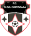 Oltul Curtisoara logo