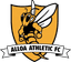 Alloa Athletic logo