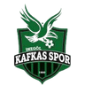 Inegol Kafkas Genclik logo