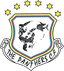 Panthers FC logo