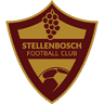 Stellenbosch FC logo