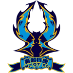 Hangzhou Linping Wuyue U17 logo
