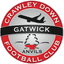 Crawley Down Gatwick logo