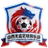 Shanxi Longsheng logo