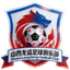 Shanxi Longsheng logo - Chn Fa Cup 32313 Live Football
