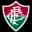 Fluminense U20 logo
