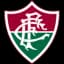 Fluminense U20 logo