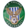 CS Vulturii Farcasesti logo