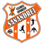 CS Sanandrei Timis logo