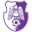 FC Arges Pitesti logo