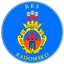 RKS Radomsko logo