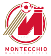 Montecchio Maggiore logo
