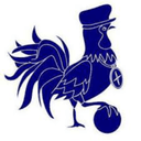 Forden Utd logo - Holyhead VS Forden Utd Score