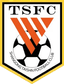 Shandong Taishan U17 logo - Cyfl U 36562 Football Live Score