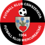 FK Csikszereda Miercurea Ciuc Women logo