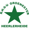 Groene Ster logo - Heino VS Groene Ster Sport