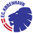 FC Kobenhavn U19 logo