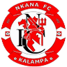Nkana FC logo