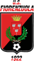 US Fiorenzuola U19 logo