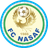 Nasaf Qarshi logo