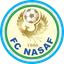Nasaf Qarshi logo