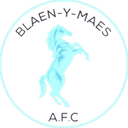 Blaen Y Maes logo - Maes VS Ely Rangers Sport