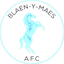 Blaen Y Maes logo