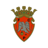 Penafiel logo