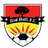 Bint Jbeil FC logo