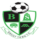 Birtley Town logo - Town VS Bishop Auckland Live Score
