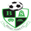 Birtley Town logo