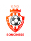 USD Soncinese logo