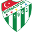 Bursaspor U19 logo