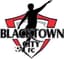 Blacktown City Demons logo