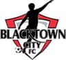 Blacktown City Demons logo