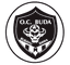 Bukavu Dawa logo
