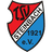 TSV Steinbach II logo