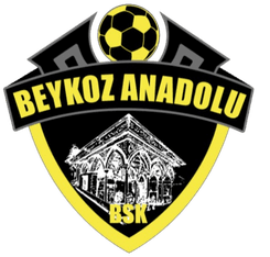 Beykoz Anadolu logo