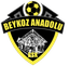 Beykoz Anadolu logo