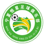 Shizuishan Hengxing Football Club U15 logo