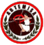 Artemisa FC logo