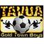 Tavua FC logo