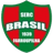 Brasil Farroupilha Women logo