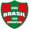 Brasil Farroupilha Women logo