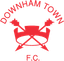 Downham Town FC logo